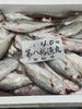 「岩船港直売所本日も営業致します」