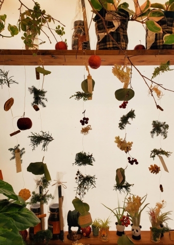 お花屋さんのガーランド 花みずきぷち ふるーる両三柳店のニュース まいぷれ 米子 お花屋さんのガーランド 花みずきぷち ふるーる両三柳店のニュース まいぷれ 米子