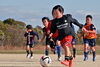 この１年、園児や１年生がたくさん増えました✨️「江戸川区・篠崎・小岩の幼児サッカーチーム｜新年度は4月の無料体験からスタートしませんか？」