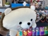 ぬいぐるみとしても枕としても！「東近江の本屋文平堂で、大人気商品再々々入荷しました〜‼︎【プッシュポップ】」