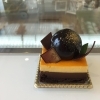 パッションとチョコレートのケーキ