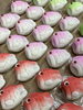 季節の上生菓子「こいのぼり」「柏餅はじまってます！」