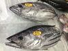 「魚魚市場鮮魚コーナーおすすめは「クロムツ」です♪」
