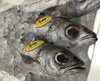 「魚魚市場鮮魚コーナーおすすめは「北海道産ホタテ・のどぐろ」です♪」