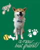 「Dog salon mofu mofu　余市町」