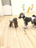 楽しいね♡  うん。楽しいね♡「ましゅまろ幼稚園　(^.^)」