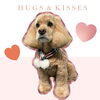 「Dog salon mofu mofu　余市町」
