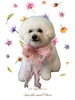 「Dog salon mofu mofu　余市町」