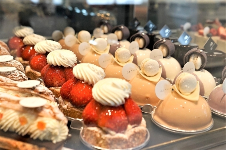市川でケーキを買うならここ 地元で愛される街のケーキ屋さん特集 市川のグルメ特集 まいぷれ 市川市 市川でケーキを買うならここ 地元で愛される街のケーキ屋さん特集 市川のグルメ特集 まいぷれ 市川市