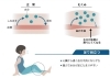 浮腫みの仕組み。「この季節、気になるのが「冷えとむくみ」ではないでしょうか？最近は男性でも多い様です。」