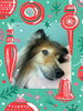 「Dog salon mofu mofu　余市町」