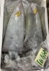 「魚魚市場鮮魚コーナーおすすめは「養殖シマアジ」です♪」