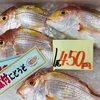 「魚魚市場鮮魚コーナーおすすめは「北海道産ホタテ」です♪」