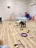 ふたりの脚を見てくださいね〜「ましゅまろ幼稚園🐾　パートⅢ」