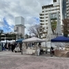 ひだまりMARKET（ひだまりマーケット）#3