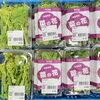 「3月の冷込み！油断は禁物！」