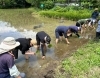 「田植え体験してきました！」