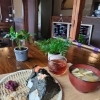 【OPEN】川越市に昭和レトロな古民家カフェが新オープン！