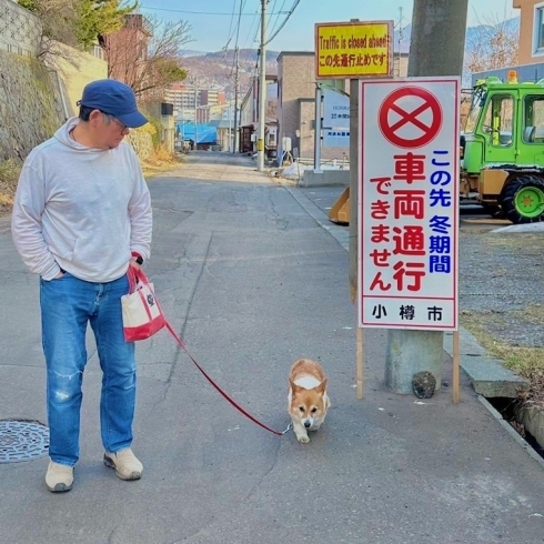 すっかり雪がなくなった散歩道「Good morning Otaru! ◎ 小樽の古民家ゲストハウスより」