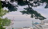 「7/7(日) 小樽」