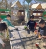 砂と水と泥であそぶ「【体験談】仕事するなら保育園しかないの？幼稚園でも大丈夫です！」