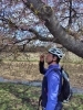 １０００本桜もほゞ終わりです🤣「UPs自転車部、6年目の再スタート。長時間有酸素で「しんどい大人」を救いたい」