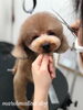 「冬のオプションキャンペーン　(^｡^)」