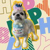 「Dog salon mofu mofu　余市町」