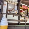 「地元の山菜が入荷します！道の駅木曽福島」