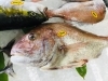 「魚魚市場鮮魚コーナーは「ハガツオ・カナトフグ」です♪」