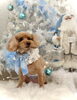 チョコくん「2025 Merry Xmas🎄」