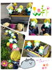 「✨キラキラ発見！！【交野市・小規模保育園】」