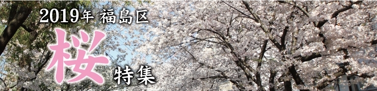 福島区の公園　桜特集