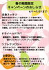 「ひだまりsalon/癒し/リラクゼーション/すもん/肩こり腰痛/魚沼市」