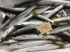 「魚魚市場鮮魚コーナーおすすめは「本ガツオ」です♪」