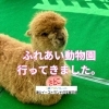 ウチパレットのふれあい動物園行きました！