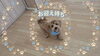 「🐕トリミングの様子をちらり👀💕【長野県木曽郡木曽町で小型〜中型犬対応のドッグサロン・ペットホテルならプリールへ】」