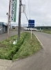 「＊地域清掃実施✴︎草刈り実施✴︎」