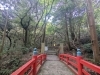 「【西条市丹原町】西山興隆寺の紅葉！（2022年11月15日撮影）」
