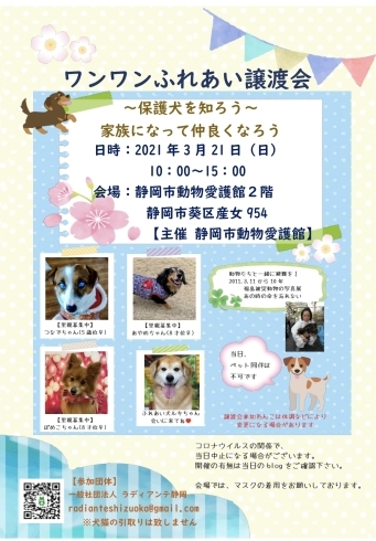 ふれあい譲渡会参加します 静岡 保護犬 譲渡会 First Dog やちのニュース まいぷれ 静岡市 ふれあい譲渡会参加します 静岡 保護犬 譲渡会 First Dog やちのニュース まいぷれ 静岡市