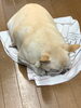 「秋ですねぇ(´∀｀)」