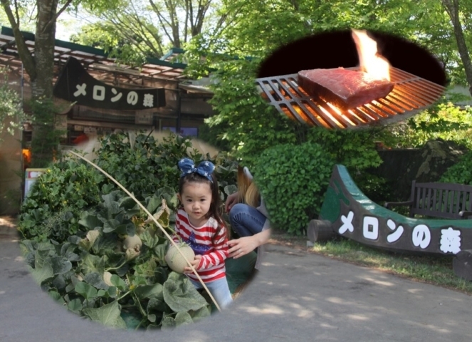 有 ライフステージ フォレストパーク メロンの森 春と秋のメロン狩り 常陸牛bbq ふるさと納税で日本を元気に 鉾田市 まいぷれ 鉾田市