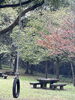 手作りの遊具が素敵な風景を演出しています🍁「自然を満喫！山田緑地公園で爽やかな秋散歩🍁」