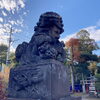 高円寺天祖神社「まいぷれ杉並区編集部　高円寺へ」