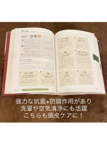 タイムの説明「母の日のプレゼントに！　お料理にも使えるアロマをプレゼント」