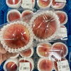 「信州スイカの名産地“波田産スイカ”入荷しました！農産物直売所」
