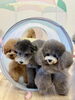 なんだかギュウギュウ　くまくん＆ぷっかくん＆リリー「ましゅまろ幼稚園🐾」