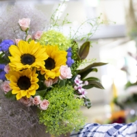 Flower Shop Hana Club 花 ガーデニング まいぷれ 八千代市 Flower Shop Hana Club 花 ガーデニング まいぷれ 八千代市