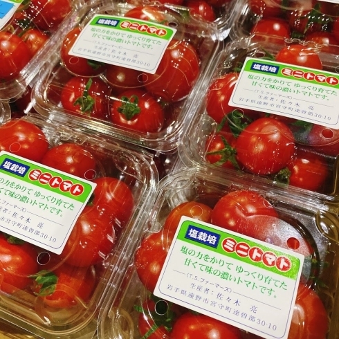 「今年も出荷が始まりました。 岩手県遠野市宮守地区産　「塩栽培　ミニトマト」です。」