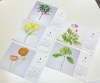 1年間のオリジナルカレンダー作りも大好評！「【速報】【人気】【おすすめ】ボタニカルアート（植物画）木曜 昼・夜 空席各1名　募集中！【初心者】【東京】【カルチャースクール】」
